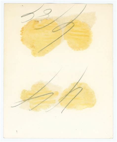 Lot BOB MIZER AMG MALE NUDE PHOTOGRAPH