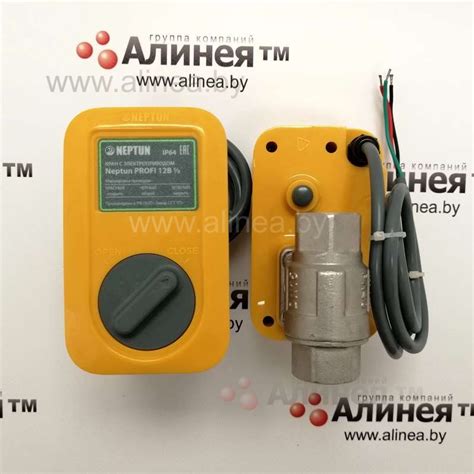 Кран шаровой с электроприводом Neptun (Нептун) Profi 12 V, 1/2"