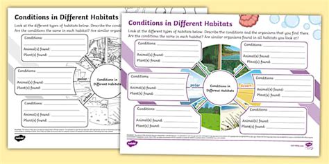Conditions In Different Habitats Mind Map Teacher Made