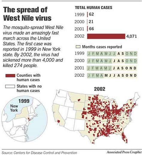 West Nile outbreak feared / Officials believe virus will strike state ...