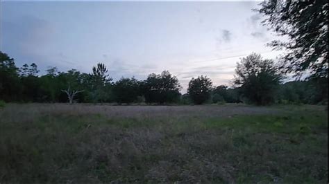 Sexo En El Bosque Search Xvideos