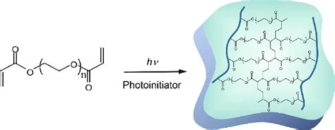 In Situ Hydrogel Formation Using Photo Cross Linking Download