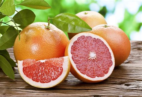 Citrus Fruit Trees Aromatic Britannica