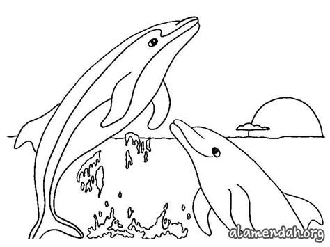 Kumpulan Mewarnai Gambar Sketsa Ikan Lumba Lumba Desain Interior Exterior