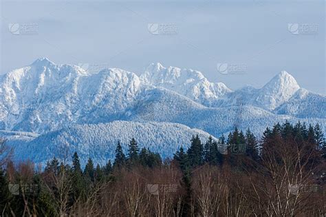 金耳朵山脉在枫树岭温哥华不列颠哥伦比亚省加拿大积雪覆盖的冬季风景照片