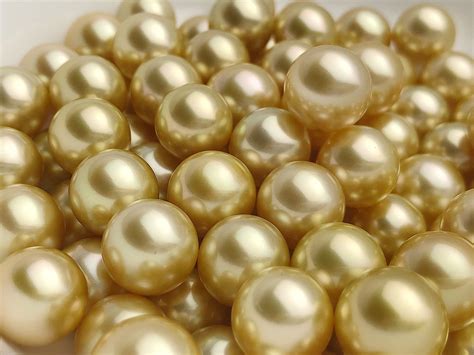 Why Are Golden South Sea Pearls So Expensive at Reginald Hopkins blog