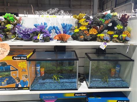 New stock arriving! - Family Pet and Aquarium