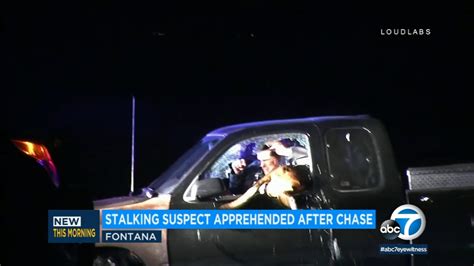 K 9 Takes Down Stalking Suspect After Chase Ends In Corona Abc7 Los