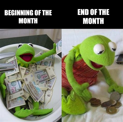 Kermit Memes Funny Kermit Pictures My XXX Hot Girl