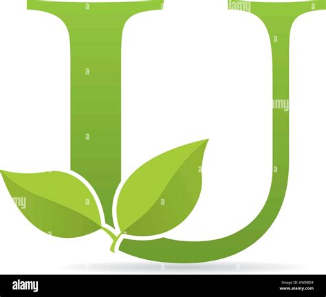 Logo with letter u of green color decorated with green leaves - Vector image Stock Vector Image ...