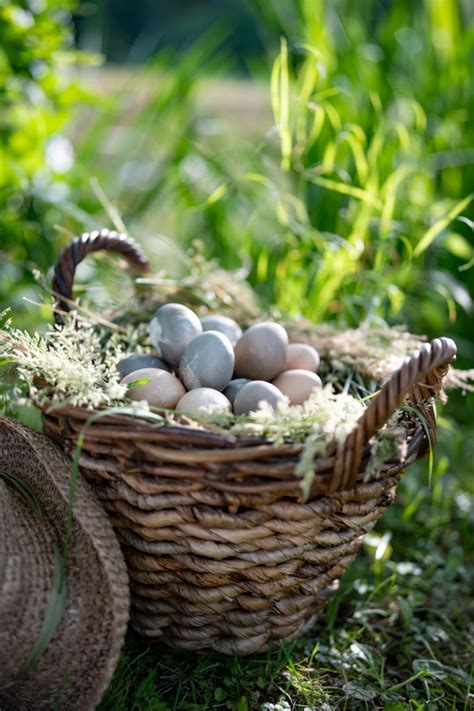 TikTok Is Going Wild Over M S Dippy Egg Hot Cross Buns