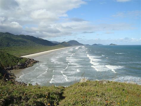 Ilha Do Cardoso Saiba Quando E Como Ir Golfinhos E Outras Maravilhas