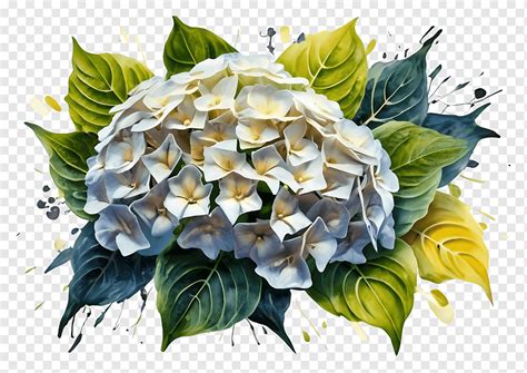 Hydrangea Flower Png PNGWing