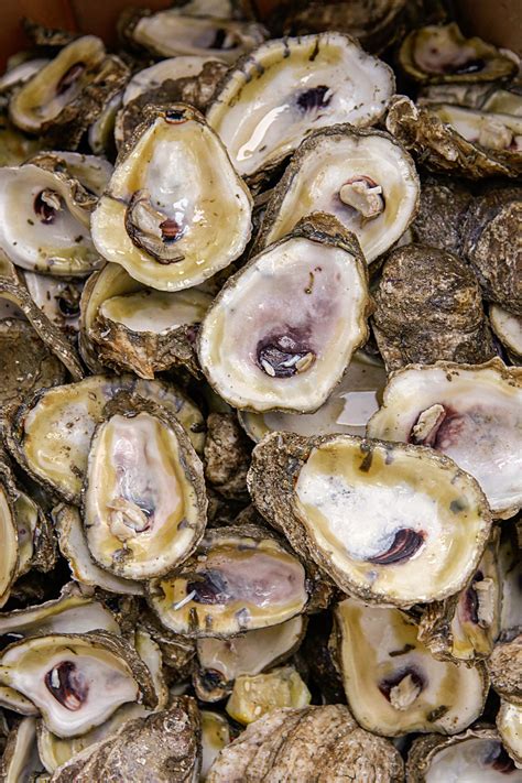 From Marsh Farms to Table - Columbia Metropolitan Magazine