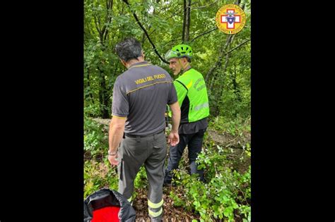 Foto Orrore A Giffoni Valle Piana Ucciso E Fatto A Pezzi Dalla