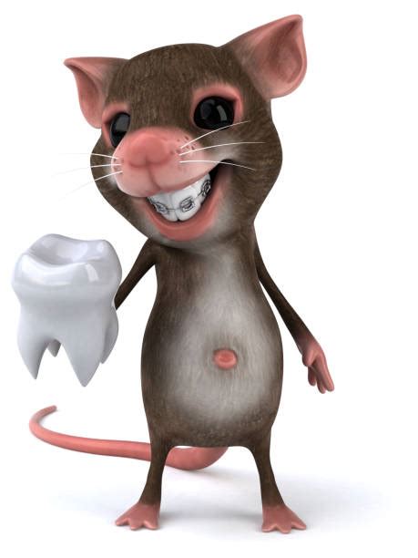 Tooth Mouse Illustrations, Royalty-Free Vector Graphics & Clip Art - iStock