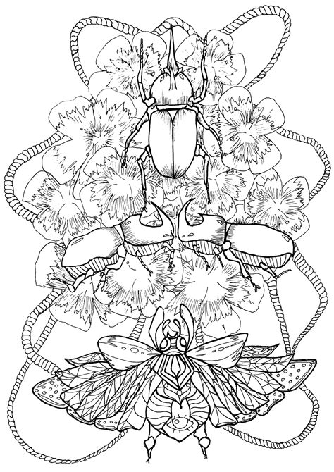 Scarabs And Flowers Butterflies And Insects Coloring Pages For Adults