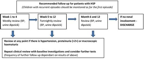 Henoch Schonlein Purpura In Adults