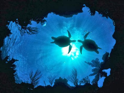 HIDROGRAFÍA: CUERPOS DE AGUA