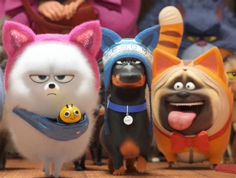 Картинки животных из мультика Тайная жизнь домашних животных