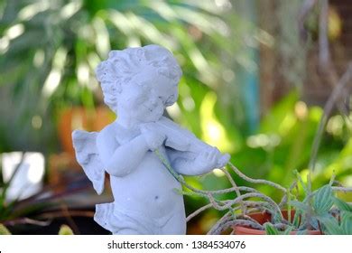 Naked Violin Images Stock Photos Vectors Shutterstock