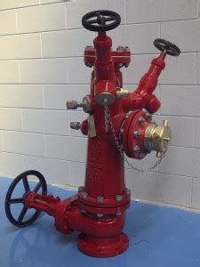 Wet Barrel Fire Hydrants UL Listed FM Approved Model S FHW6 With