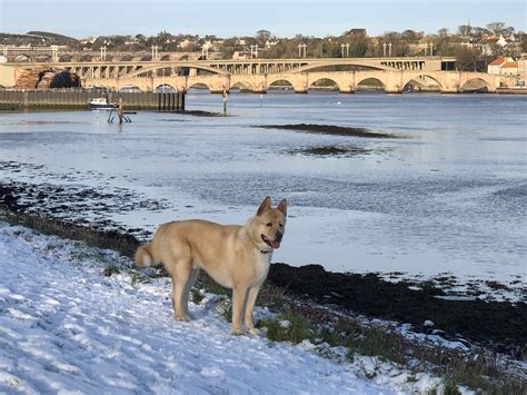 Ford EcoBoost Nightmare | I sent below email on Monday evening to my