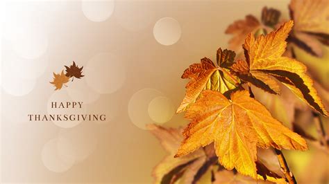 Details more than 81 autumn thanksgiving wallpaper - in.coedo.com.vn