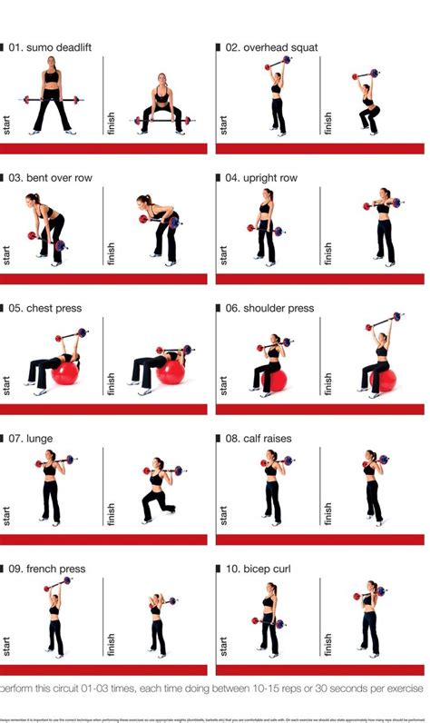 Barbell Circuit For Exercising At Home Weight Training Women Weight