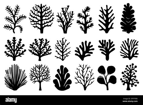 Hand Drawn Set Of Corals And Seaweed Silhouette Isolated On White