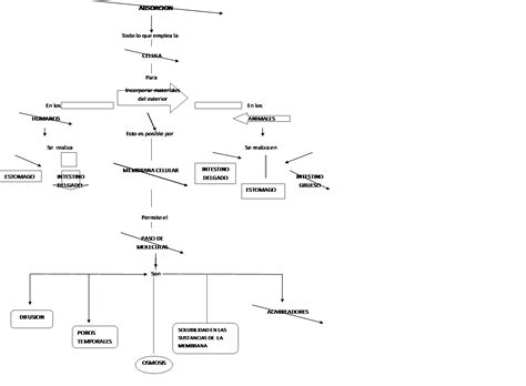 Abac Mapa Conceptual De AbsorciÓn