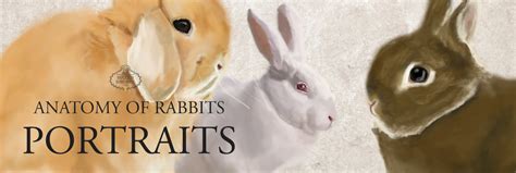 Custom Portraits Napoleon Bunnyparte