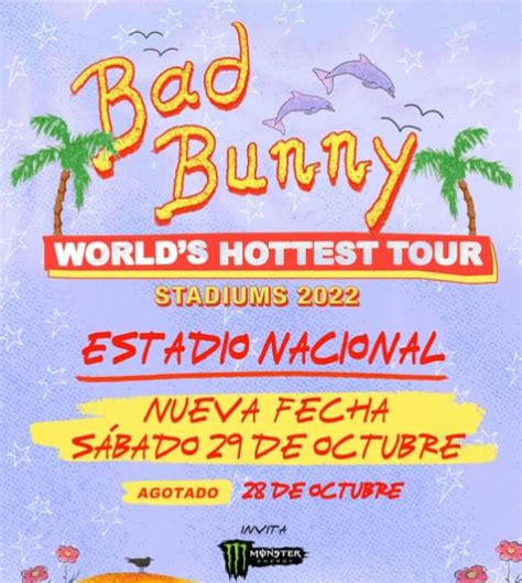 Bad Bunny Anunció Segundo Concierto En Chile Tras Agotar Entradas En Menos De Dos Horas Diario