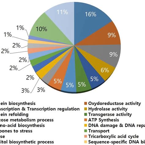 Functional Classification Of Identified Proteins In Streptomyces