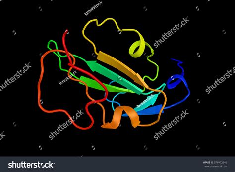 alk images stock  vectors shutterstock