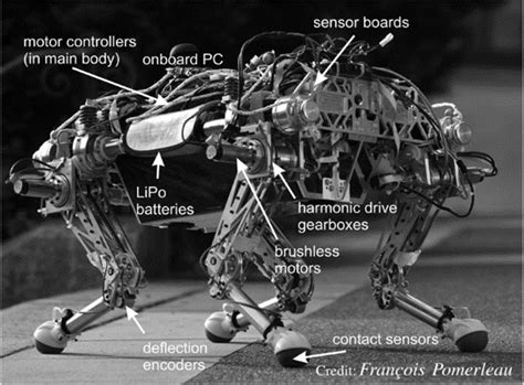 Two Quadruped Robots With Joint Series Compliance A The Quadruped