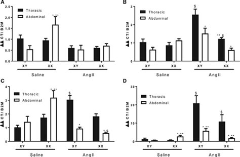 Sex Chromosome Complement Defines Diffuse Versus Focal Angiotensin Iiinduced Aortic Pathology