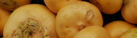 Красное вино польза и вред для мужчин