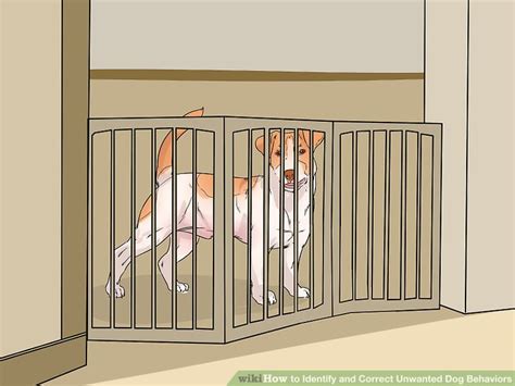 4 Ways To Identify And Correct Unwanted Dog Behaviors Wikihow Pet
