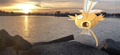 408 best Shiny Magikarp images on Pholder | Shiny Pokemon, Pokemongo and Pokemon Lets Go