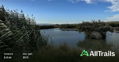 Adobe Creek Trail To Shoreline Lake Park California 1087 Reviews