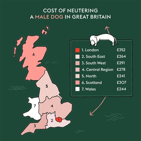 How much does it cost to neuter a dog in the UK? | ManyPets