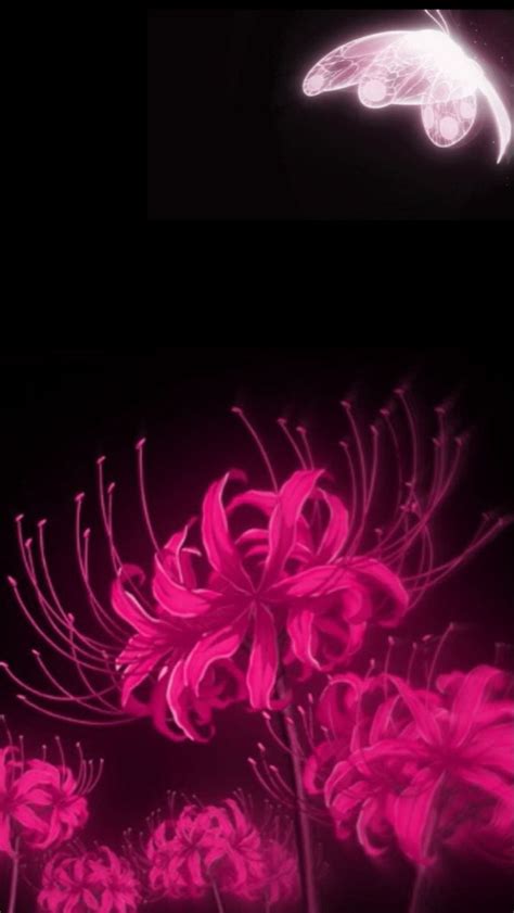 Pink Spider Lilly Butterfly Anime Flower Red Spider Lily Lily