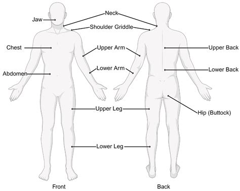 Unraveling the Complex Web of Fibromyalgia: A Narrative Review