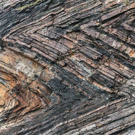 chevron folds millook haven cornwall geology chevron photography