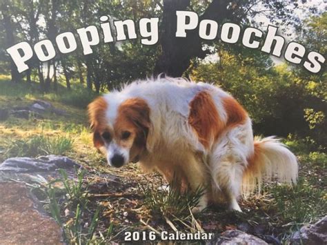 Le Calendrier Des Chiens Qui Font Caca Est Arriv Et Cest Le