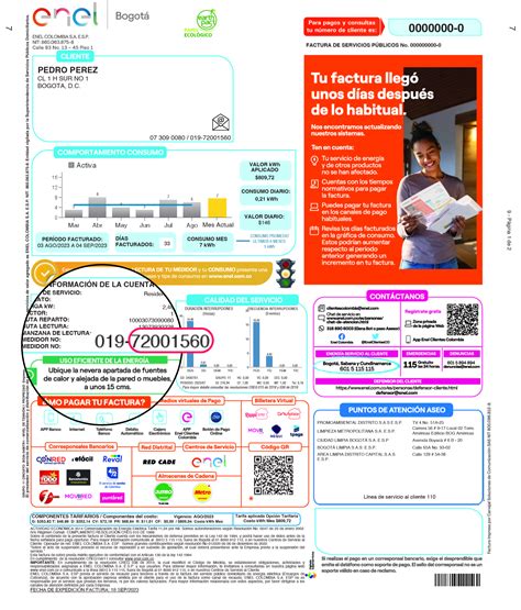 Botón de pago Enel: cómo usarlo y pagar tu factura fácil