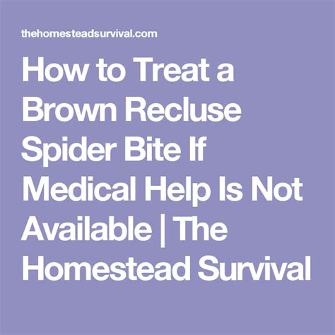 How To Treat Brown Recluse Spider Bite And Prevention Tips – Otosection