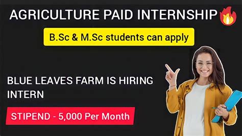 Agriculture Paid Internship BlueLeaves Farm Is Hiring Intern Bsc Ag