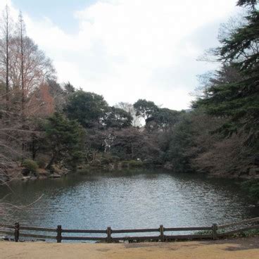 Shinjuku Gyoen - The National Imperial Garden in Tokyo